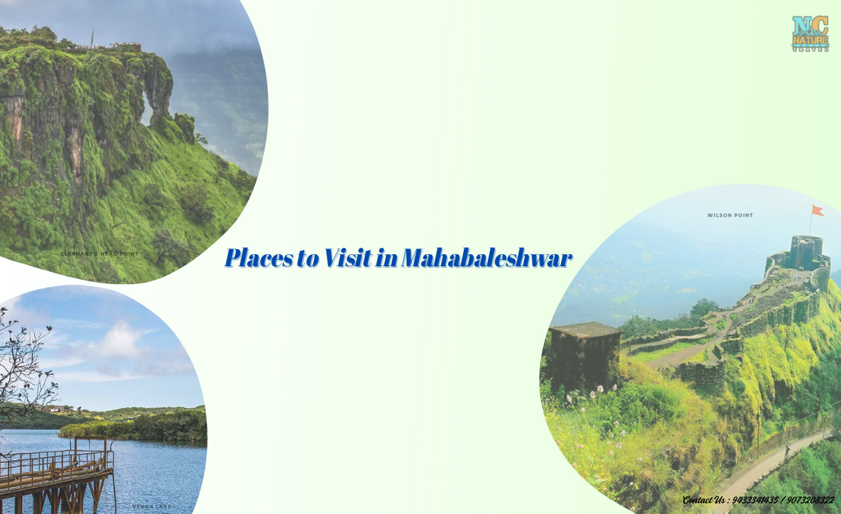 Mahabaleshwar tour points, places to see in Mahabaleshwar, Things to do in Mahabaleshwar,